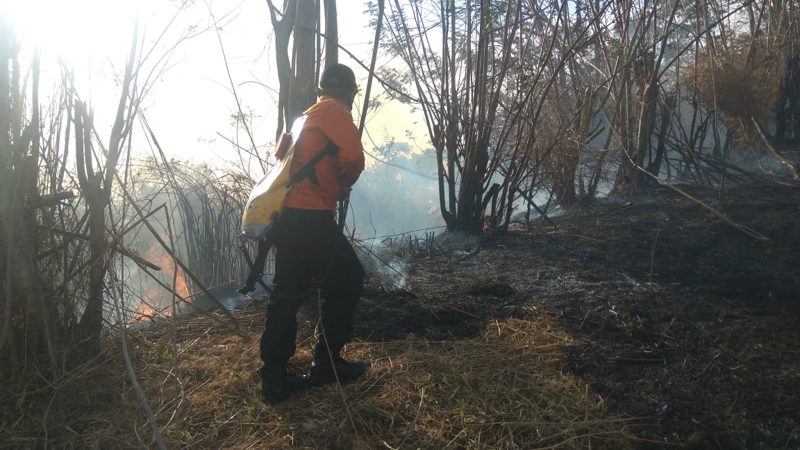 Kebakaran Hutan  Kebakaran hutan  dan lahan di Bolmong terus meluas