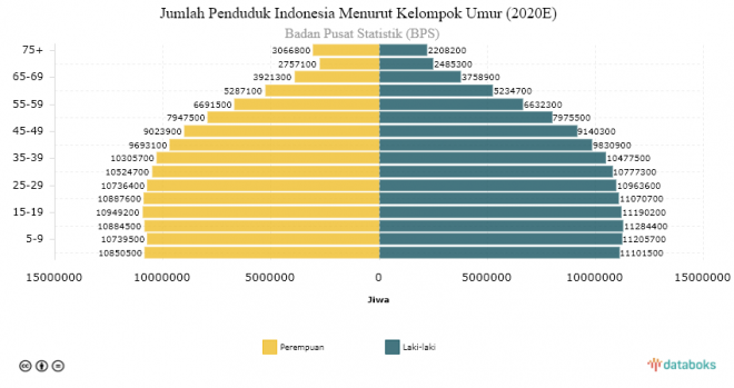 Penduduk Indonesia Akan Capai 270 Juta Pada 2020