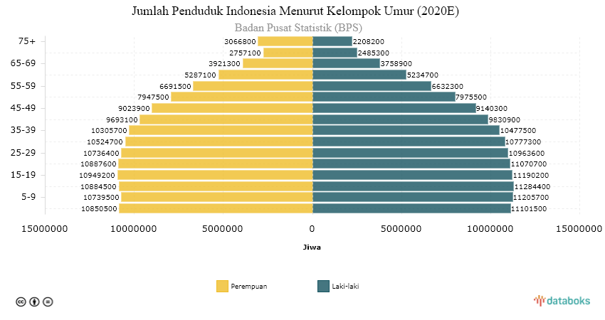 data penduduk di indonesia