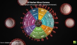 varian baru virus corona