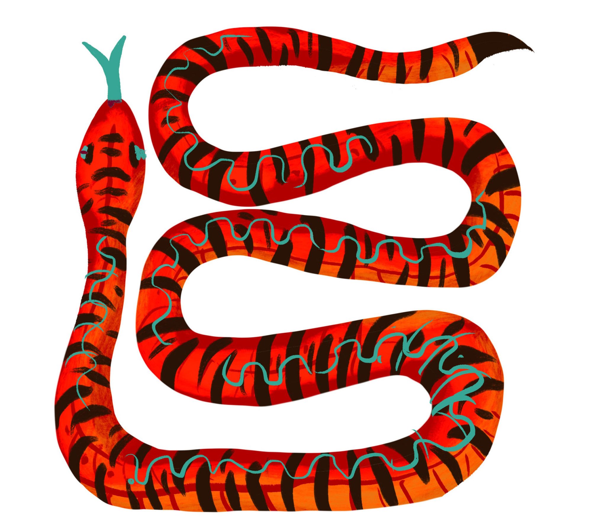shio ular