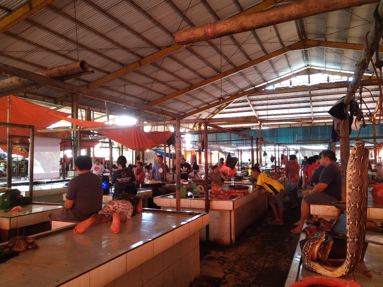 Suasana jual beli satwa liar di salah satu pasar di Sulut, (Foto: Dokumen pribadi Program Selamatkan Yaki).