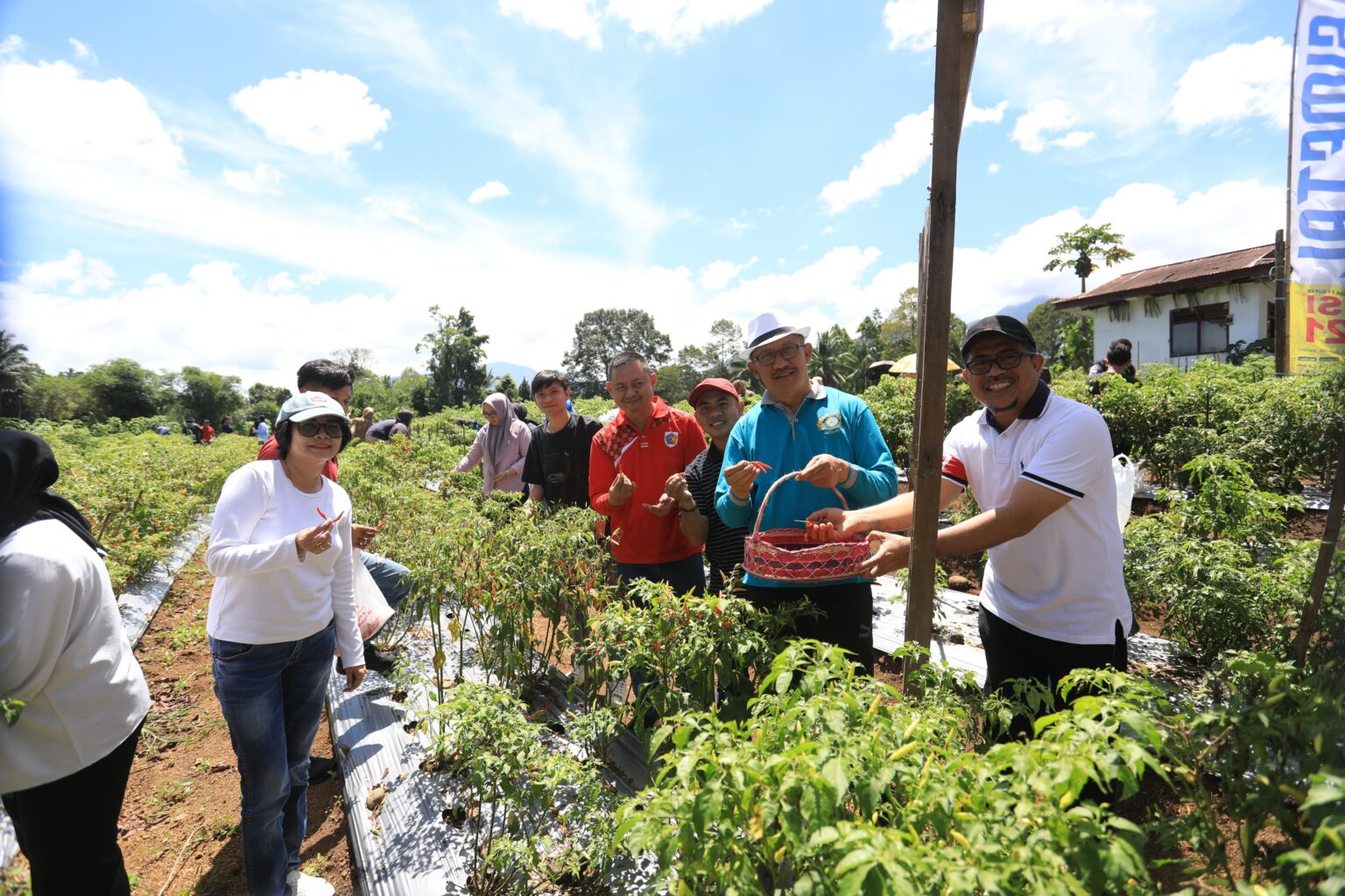 Pj Wali Kota Kotamobagu bersama jajarannya panen cabai rawit di bukit Ilongkow, Kelurahan Kotobagon, Kecamatan Kotamobagu Timur, (Foto: Diskominfo KK).