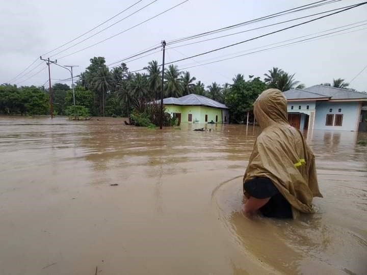 jokowi