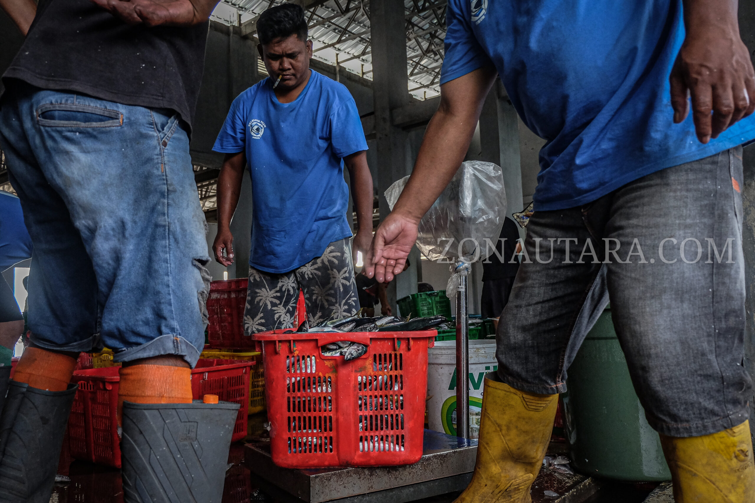 Proses saat penimbangan ikan-ikan hasil tangkapan nelayan