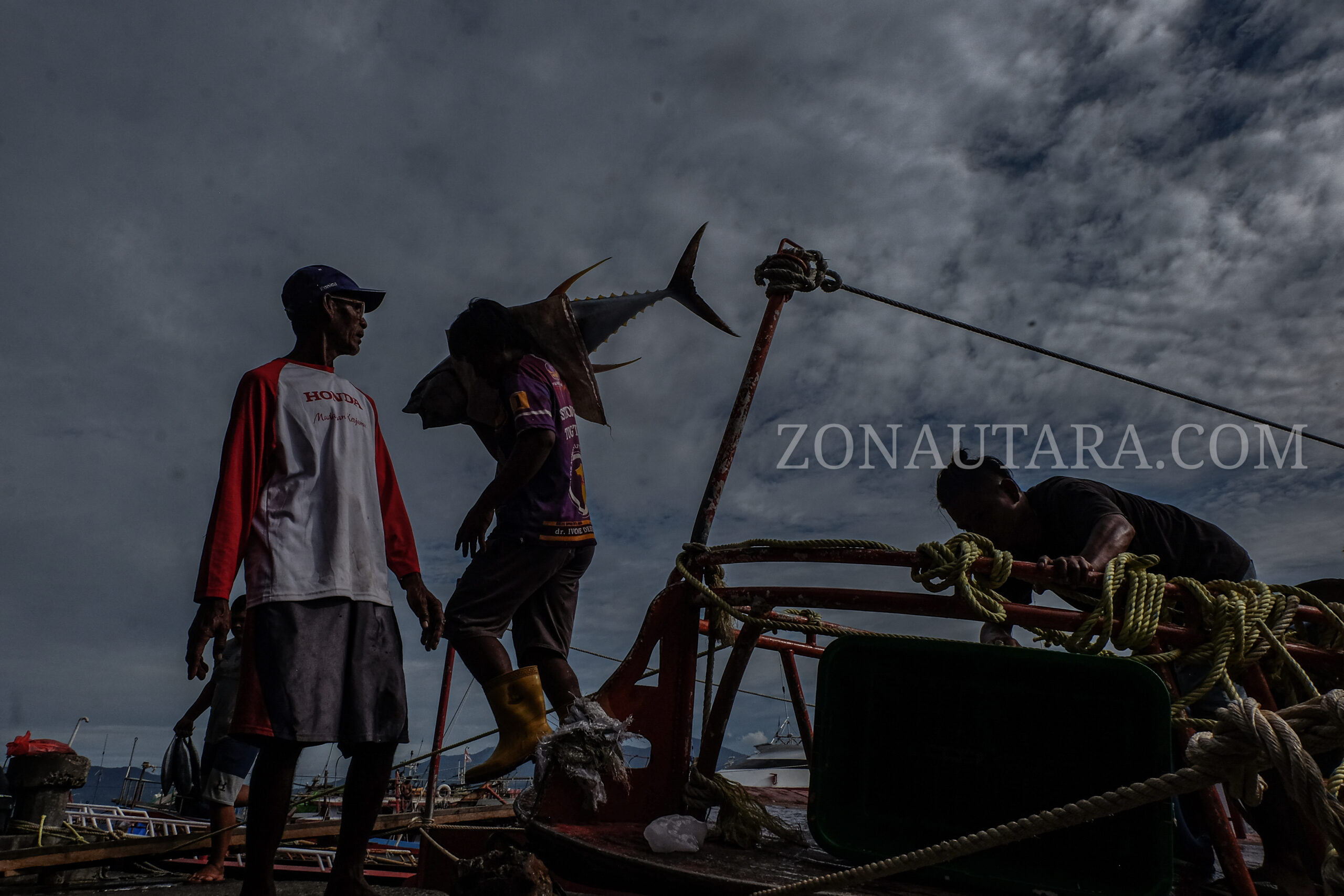 Nelayan sedang membawa ikan Tuna untuk di timbang