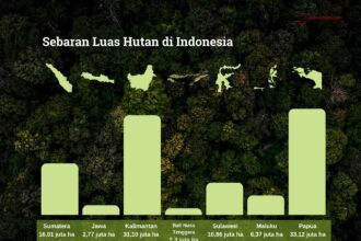 Hutan