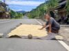 Sumarni potabuga, salah satu petani perempuan di desa pindol, (foto: zonautara. Com/sajidin kandoli).