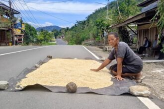 Sumarni Potabuga, salah satu petani perempuan di Desa Pindol, (Foto: ZONAUTARA.com/Sajidin Kandoli).