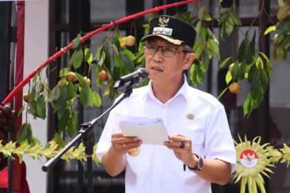 Gerakan Sitaro menanam dorong ketahanan pangan dan peningkatan ekonomi daerah 