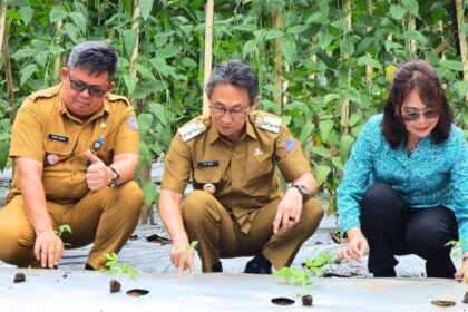 Gerakan 'Sitaro Nanam' diharapkan dapat menekan inflasi dan meningkatkan ketahanan pangan masyarakat