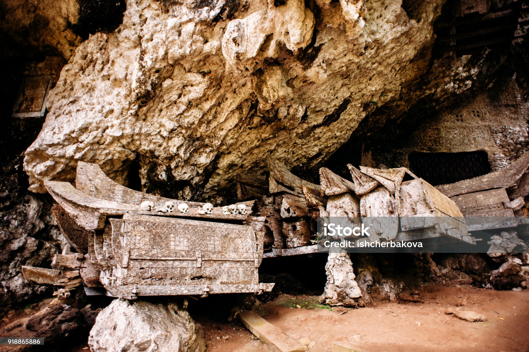 toraja