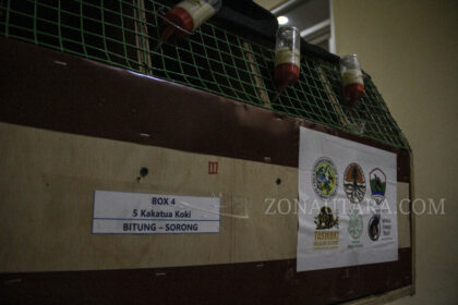 FOTO: Translokasi satwa endemik dari Bitung ke Sorong, Papua Barat