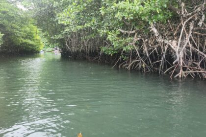 Kemunculan buaya hebohkan warga Tagulandang, pemerintah dan TNI lakukan pencarian