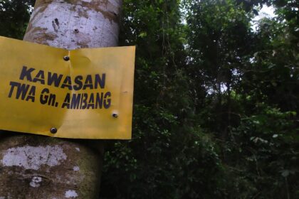 Masuk Kawasan TWA Gunung Ambang mesti bayar tiket, begini penjelasan BKSDA Sulut