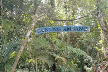 Pengelola TWA Gunung Ambang tuai kritik, aksi KPA tanam 1000 pohon malah dipungut tarif masuk