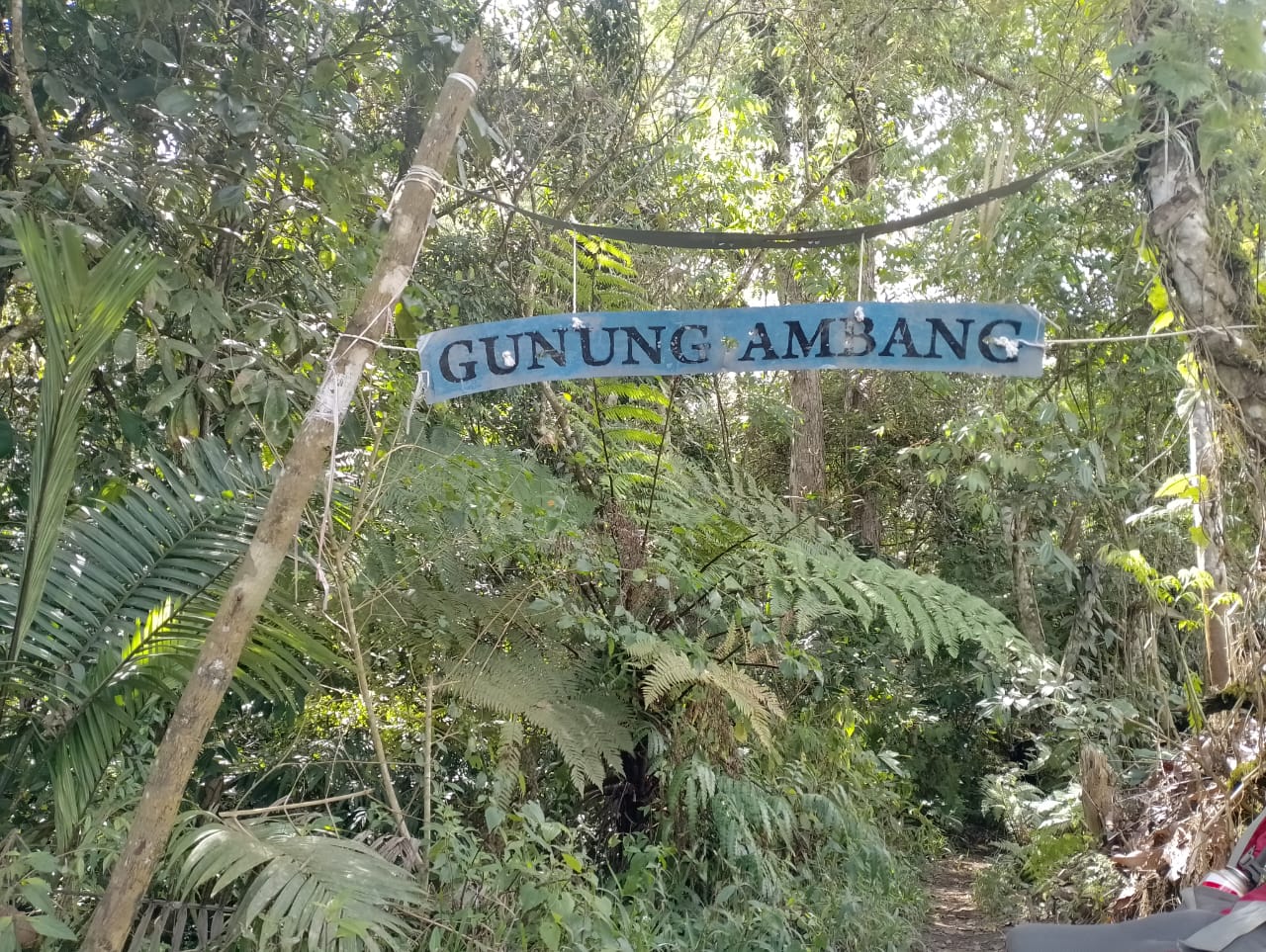Pengelola TWA Gunung Ambang tuai kritik, aksi KPA tanam 1000 pohon malah dipungut tarif masuk