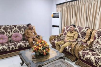 Iskandar Kamaru audiensi dengan Tahlis Gallang, sinergi besar untuk pembangunan di tahun 2025