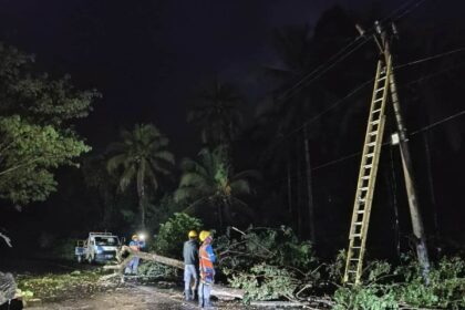 Cuaca ekstrim ganggu jaringan listrik di Manado dan Gorontalo, PLN bergerak cepat lakukan perbaikan