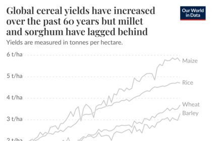 DATA: Produksi sereal global telah meningkat secara signifikan, namun produksi millet dan sorghum tertinggal.