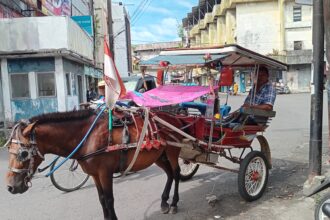 Mori Manoppo memilih bertahan dengan 'bendi' di tengah modernisasi transportasi