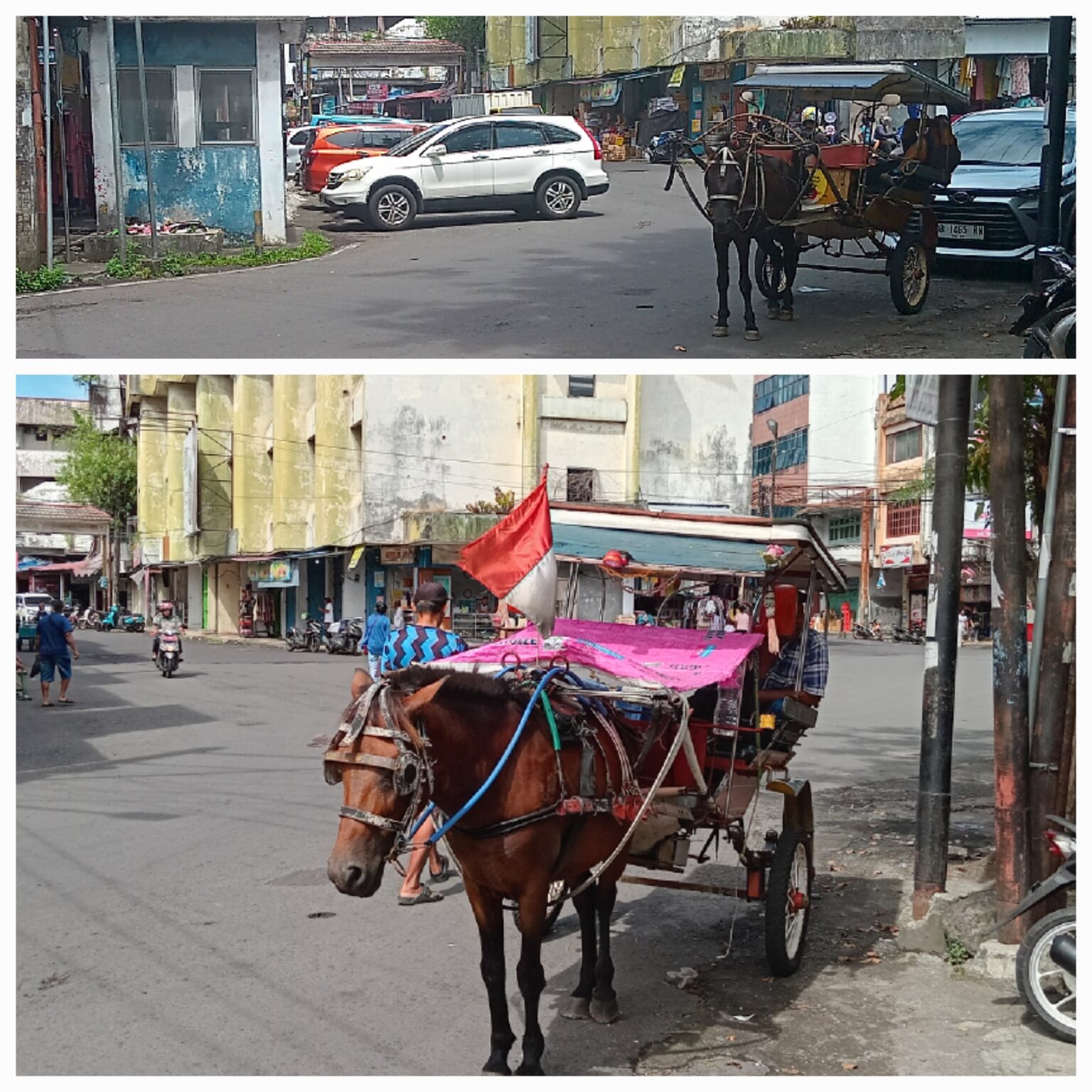 Kisah Saipul dan Mori: Penjaga kelestarian 'bendi' di Manado yang hampir punah