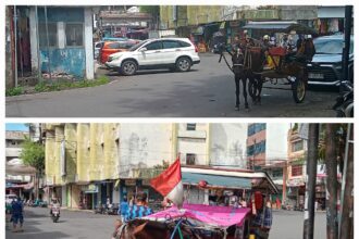 Kisah Saipul dan Mori: Penjaga kelestarian 'bendi' di Manado yang hampir punah