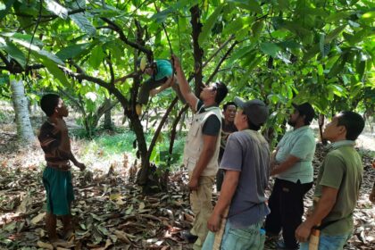 Delapan tahun Yayasan Bumi Tangguh: Menempa harapan, menumbuhkan ketangguhan