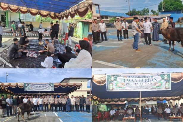 Polres Bitung gelar penyembelihan hewan kurban, perkuat kepedulian sosial dan hubungan dengan masyarakat