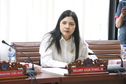 Pansus Bahas Ranperda Kepemudaan, Ini Harapan Hillary Tuwo