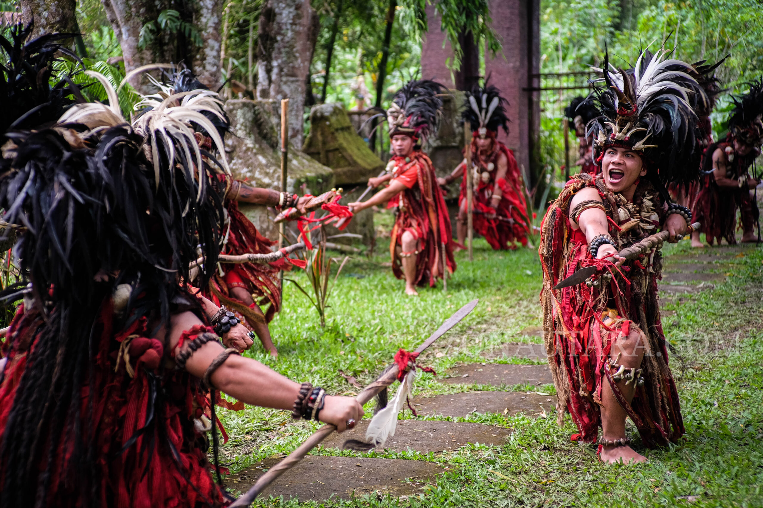 FOTO: Upacara adat Mangalei Minahasa