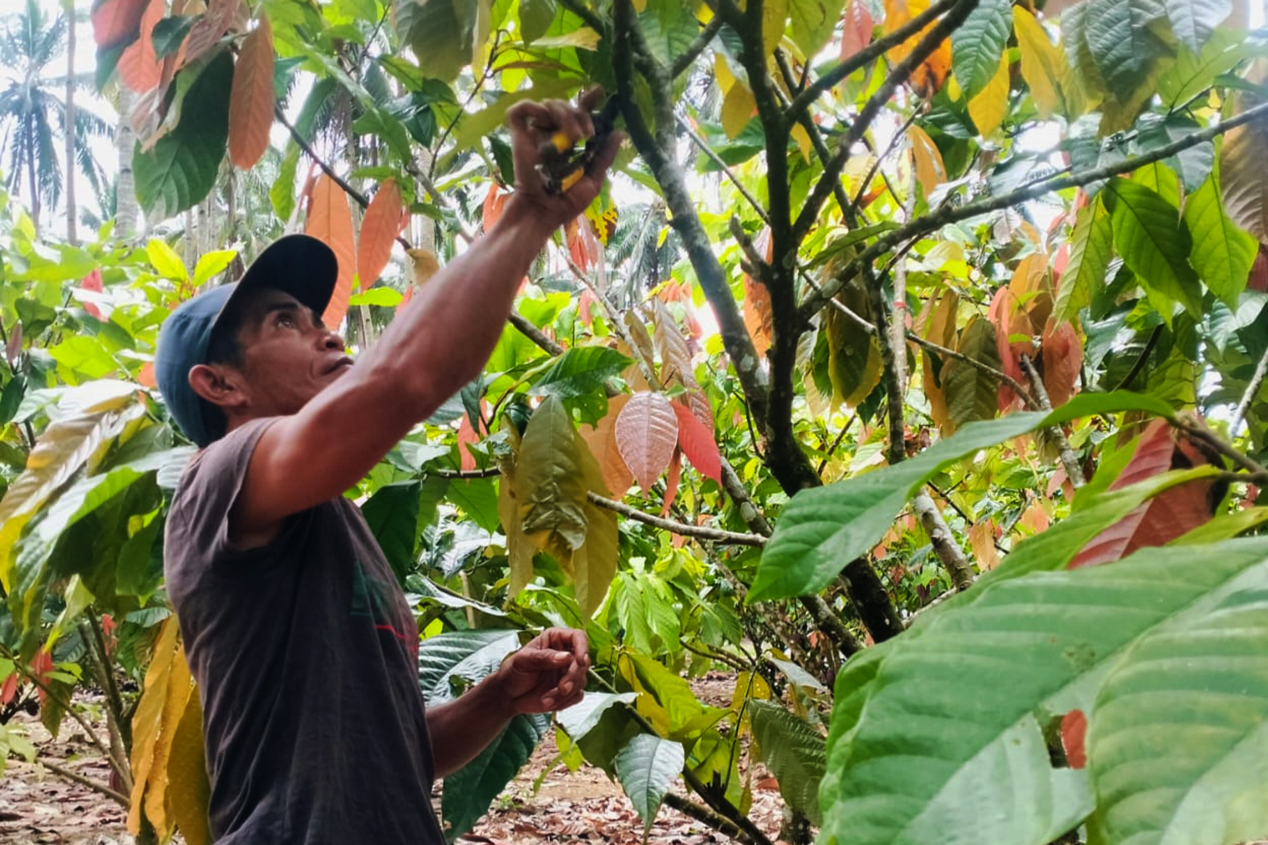 Uji tuntas HAM di lingkar tambang: Jejak dampak dan janji keberlanjutan di Bolaang Mongondow 11 JRBM