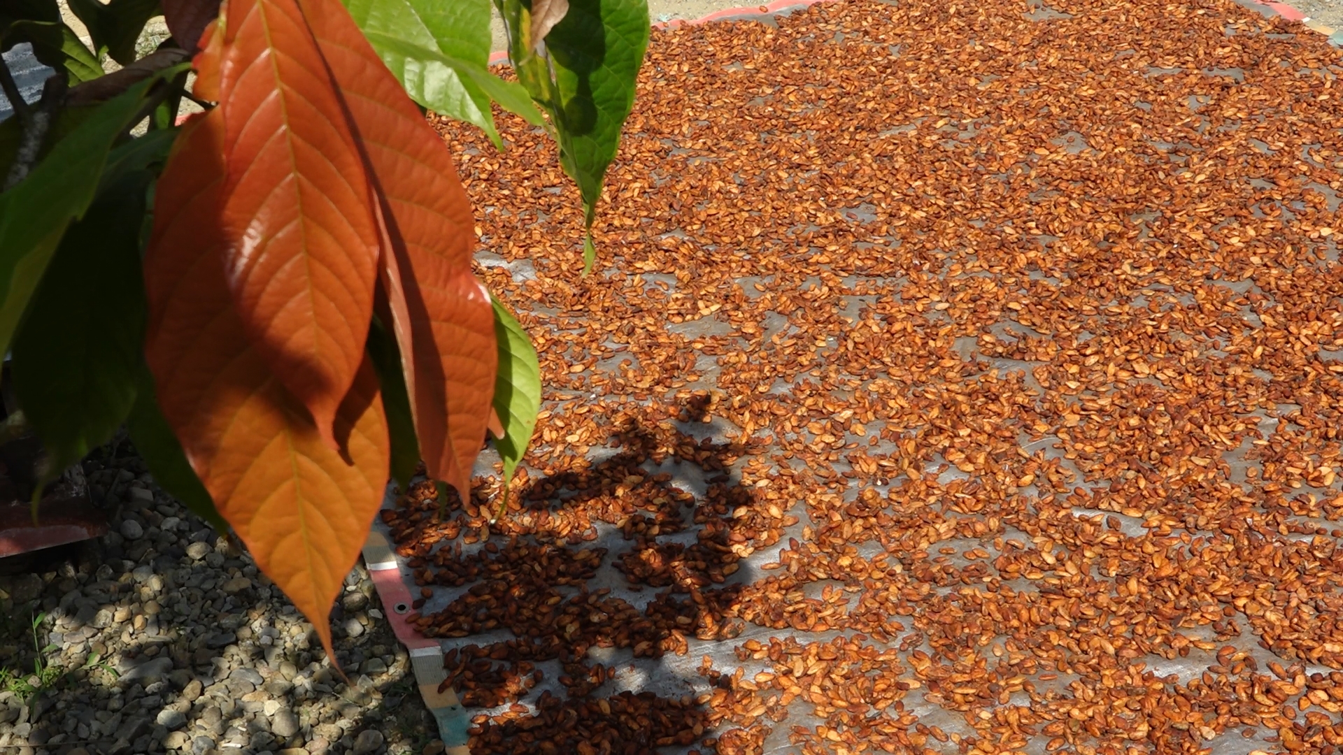 Uji tuntas HAM di lingkar tambang: Jejak dampak dan janji keberlanjutan di Bolaang Mongondow 15 jrbm