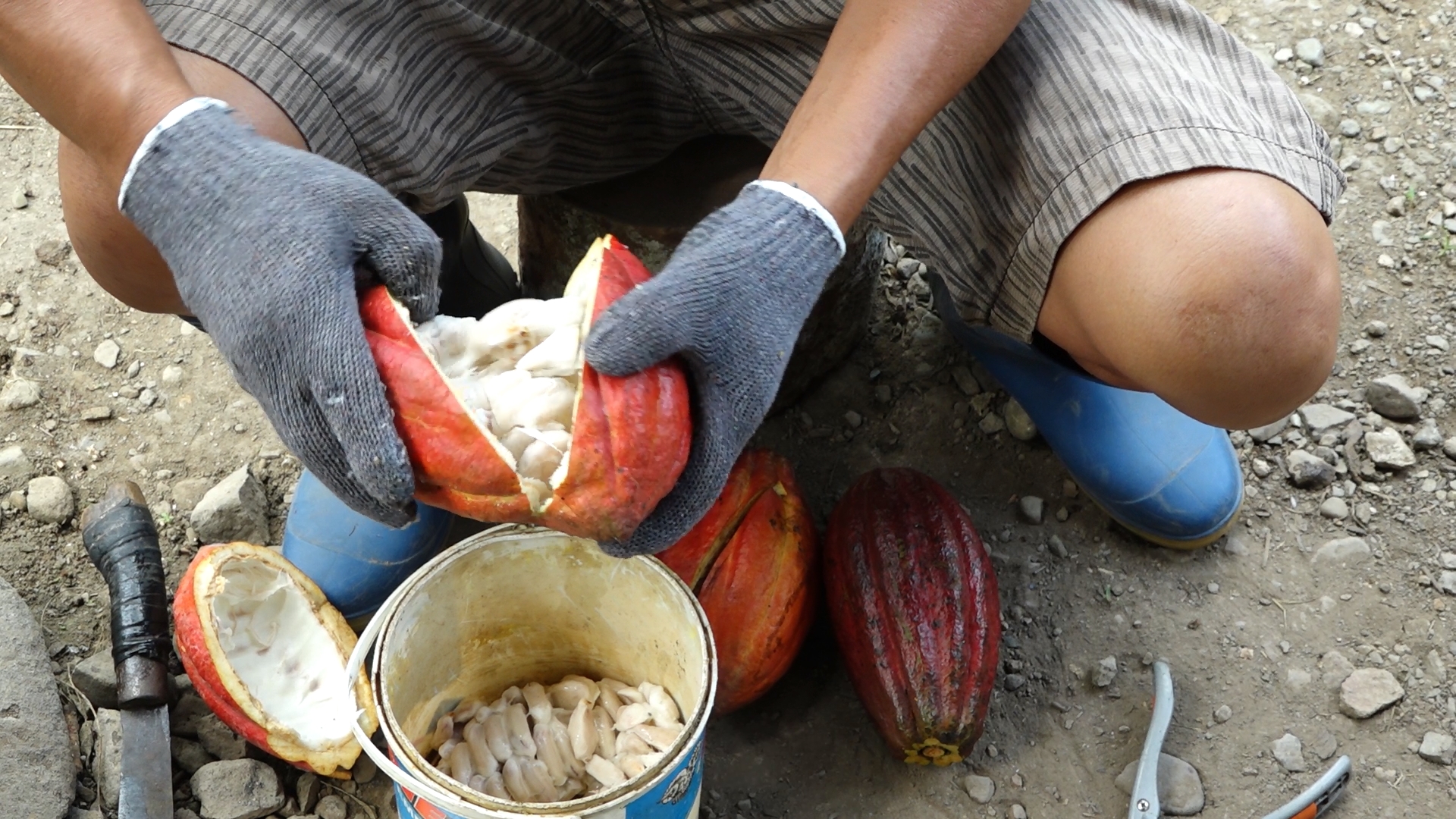 Uji tuntas HAM di lingkar tambang: Jejak dampak dan janji keberlanjutan di Bolaang Mongondow 17 jrbm