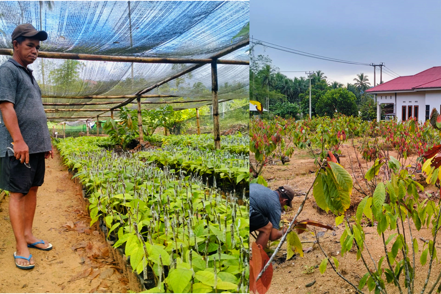 Uji tuntas HAM di lingkar tambang: Jejak dampak dan janji keberlanjutan di Bolaang Mongondow 8 jrbm