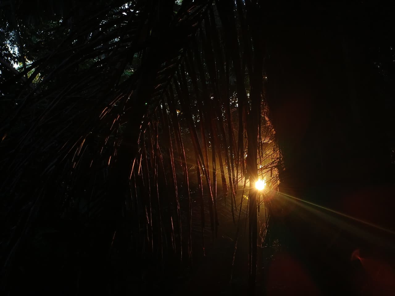 Gunung Empung dan ruang kontemplasi pagi hari