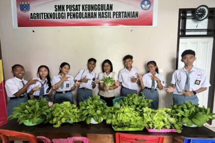 SMK Negeri 1 Siau Timur panen perdana sayuran Hidroponik, hasilnya langsung dipasarkan