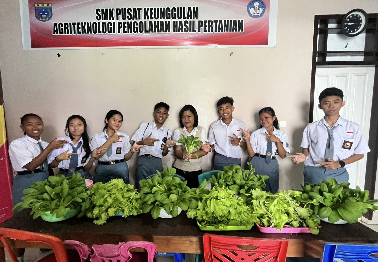 SMK Negeri 1 Siau Timur panen perdana sayuran Hidroponik, hasilnya langsung dipasarkan