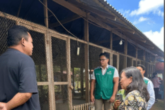 Didukung PLN, Pangi Farm Tomohon jadi contoh peternakan modern berbasis listrik
