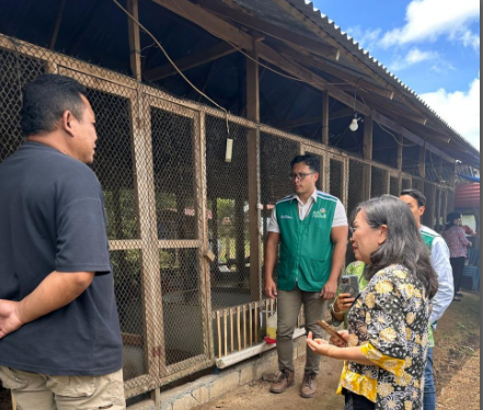 Didukung PLN, Pangi Farm Tomohon jadi contoh peternakan modern berbasis listrik