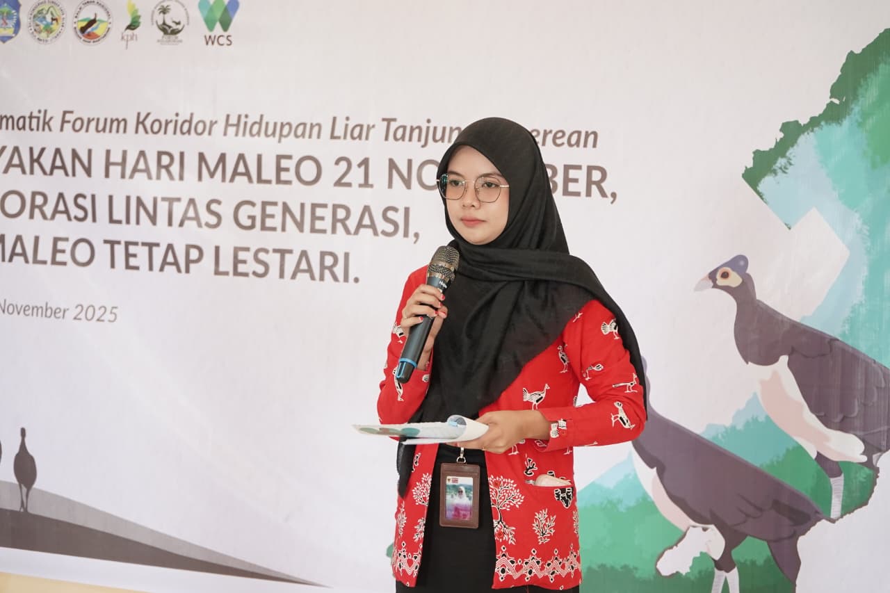 Festival Maleo 2025 di Bolsel gaungkan konservasi burung endemik kritis Sulawesi