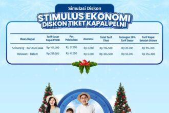 Pemerintah diskon tiket kapal PELNI 20 persen sambut libur Nataru