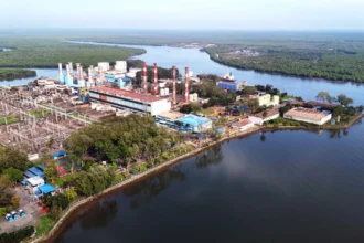 Kado spesial PLN untuk HUT RI ke-80, limbah sawit jadi listrik