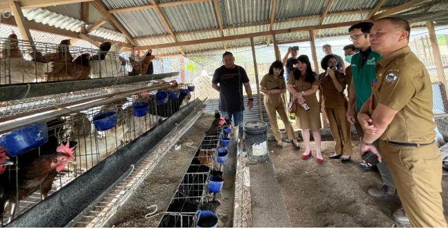 PLN dan Pemkot Tomohon tingkatkan produktivitas peternak lewat program Electrifying Agriculture