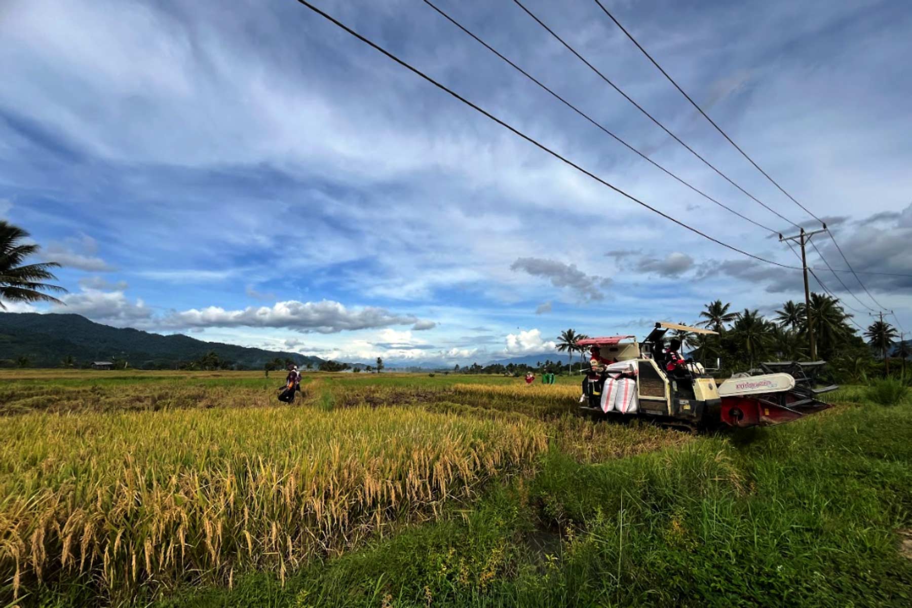 Lumbung padi Dumoga itu dibangun di atas tanah siapa?