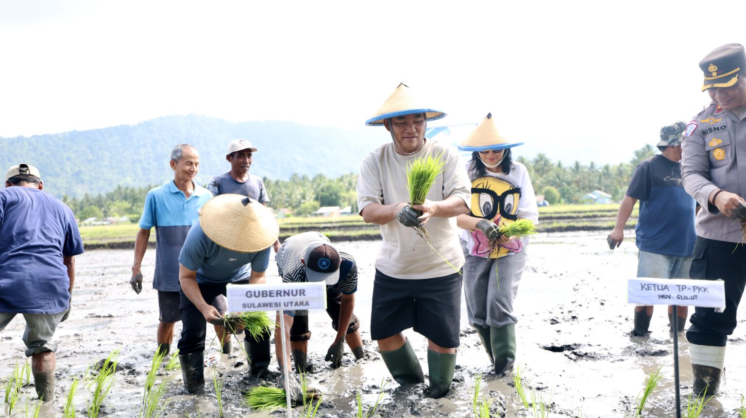 Gubernur Sulut turun ke sawah di Bolmong, perkuat gerakan tanam padi untuk swasembada pangan nasional