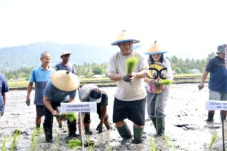 Gubernur Sulut turun ke sawah di Bolmong, perkuat gerakan tanam padi untuk swasembada pangan nasional