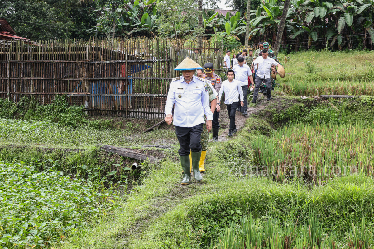 FOTO: Wagub Sulut pimpin panen raya dukung swasembada pangan nasional