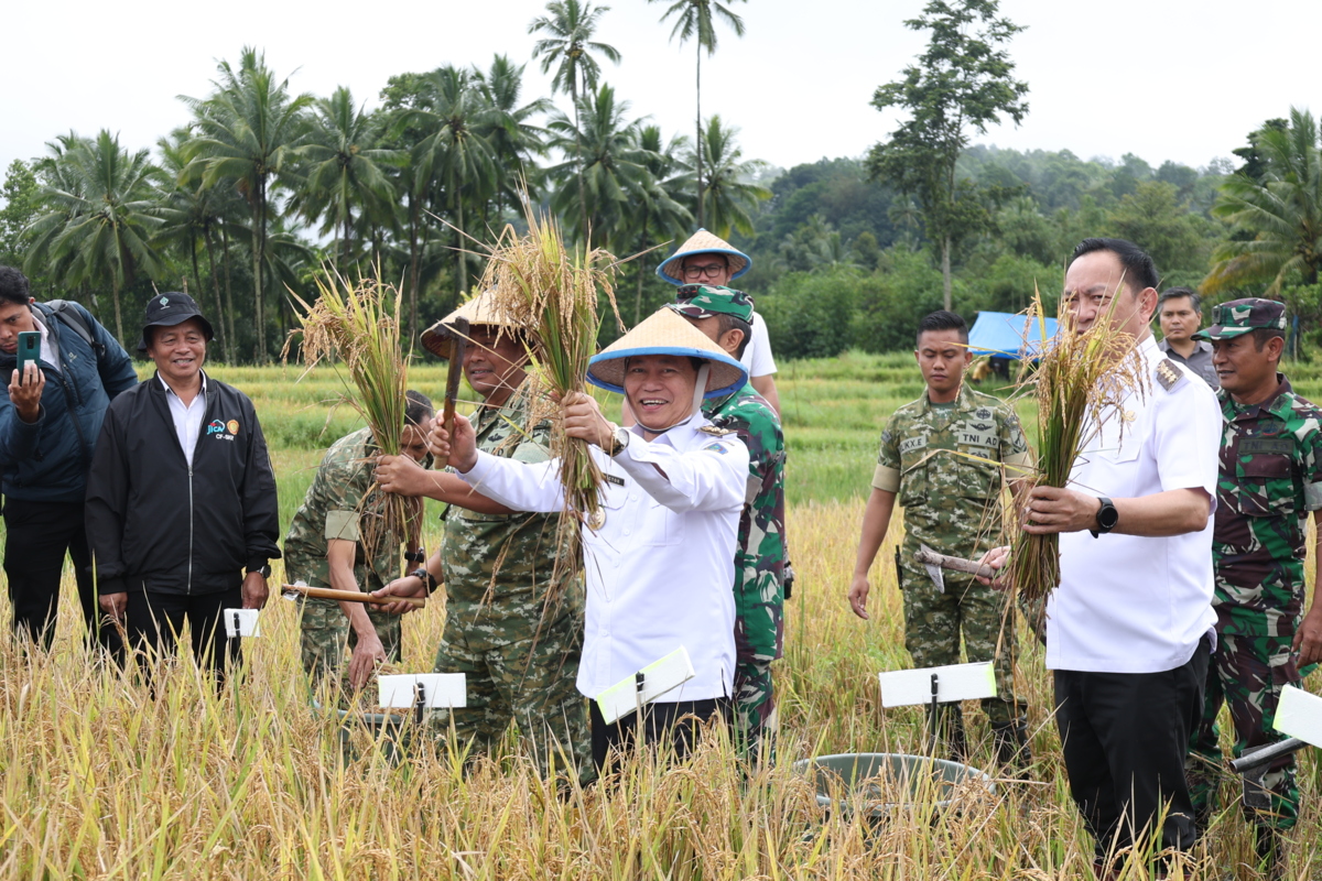 Victor Mailangkay pimpin panen raya di Tomohon, perkuat komitmen Sulut swasembada pangan nasional