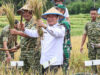 FOTO: Wagub Sulut pimpin panen raya dukung swasembada pangan nasional